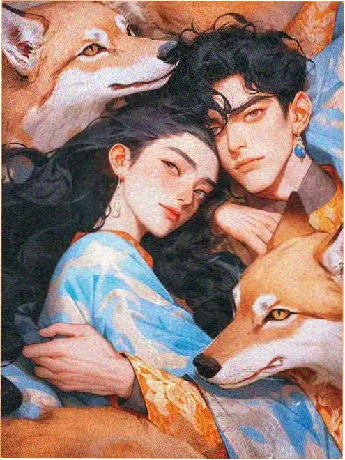 海岸线以南封面